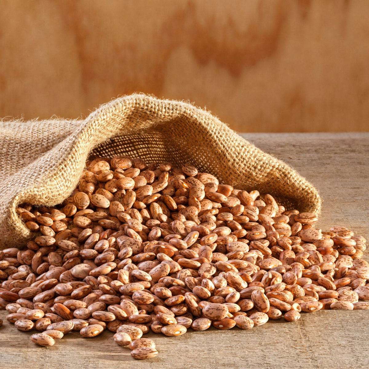 Dried Pinto Beans 4 Gallon Pail, Bulk Food Storage, Emergency Food Supply, Everyday Meals, 311 Servings