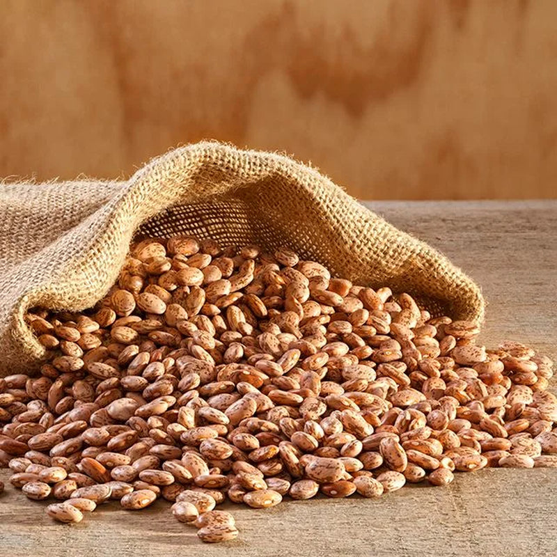 Dried Pinto Beans 4 Gallon Pail, Bulk Food Storage, Emergency Food Supply, Everyday Meals, 311 Servings